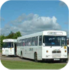 Singledeck Buses